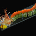 Ura Maki - Dragon Roll
